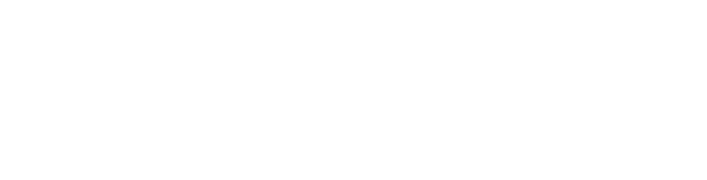 Novi Logo